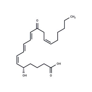 12-oxo Leukotriene B4