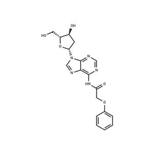 2’-Deoxy-N6-Phenoxyacetyladenosine