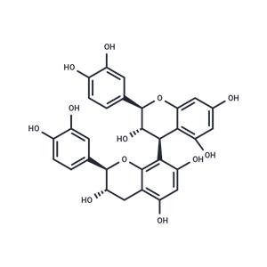 Procyanidin B3