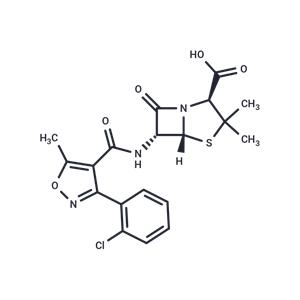 Cloxacillin