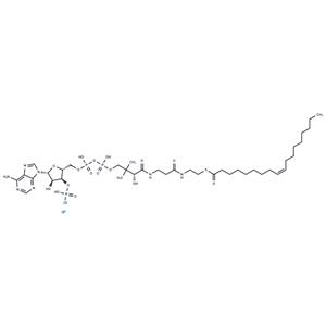 Oleoyl coenzyme A lithium