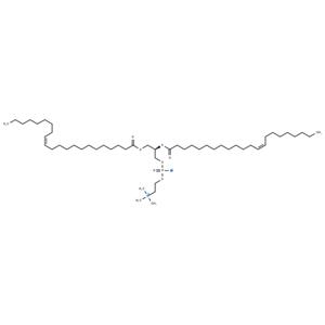 1,2-Dierucoyl-sn-glycero-3-PC