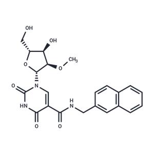 5-Naphthyl-beta-methylaminocarbony-2’-O-methyl-uridine