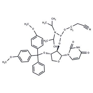 DMTr-TNA-U-amidite