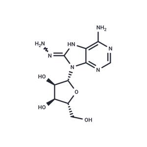 8-Hydrazinoadenosine