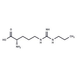 Nω-Propyl-L-arginine