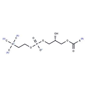 Lysophosphatidylcholines