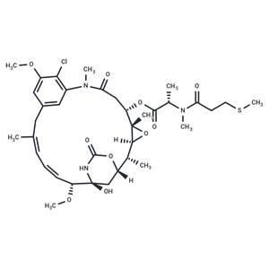 S-methyl DM1