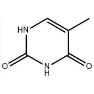 Thymine