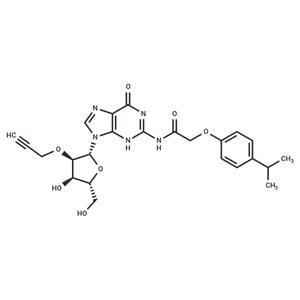 N2-(Isopropylphenoxyacetyl)-2’-O-propargylguanosine