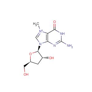 3’-Deoxy-N7-methylguanosine