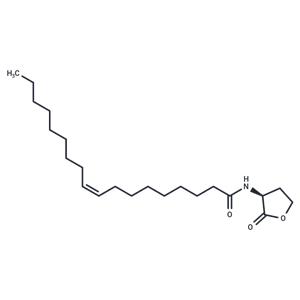 N-cis-octadec-9Z-enoyl-L-Homoserine lactone