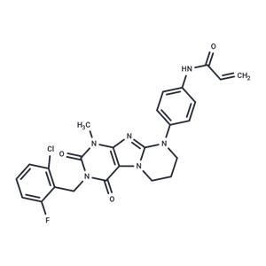 KRAS G12C inhibitor 31