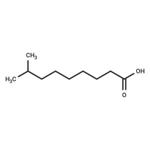 8-methyl Nonanoic Acid