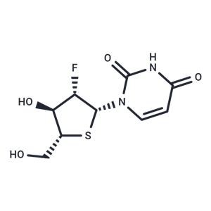 2’-Deoxy-2’-fluoro-4’-thio-b-D-arabinouridine