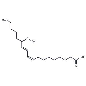 13(S)-HpODE