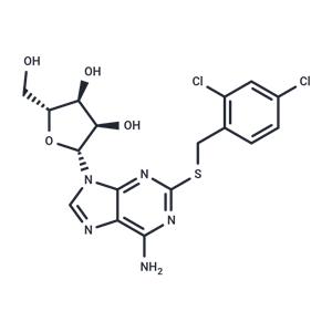 2-(2,4-Dichlorobenzyl)thioadenosine