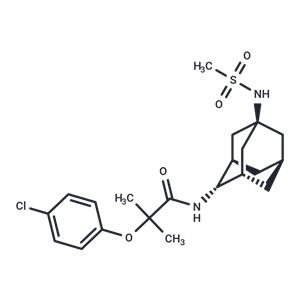 JNJ 303