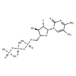 2’-Deoxy-2’-fluoro-5-methyl-araobinocytidine ?5’-triphosphate triethyl ammonium salt（79570-62-0 free base)