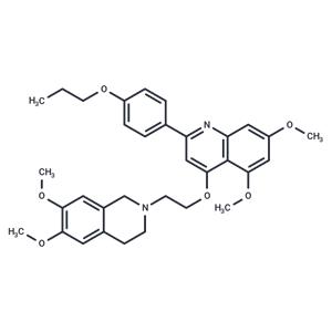 SARS-CoV-2-IN-19