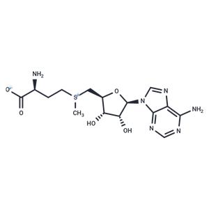 S-Adenosyl-L-methionine