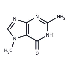 7-Methylguanine