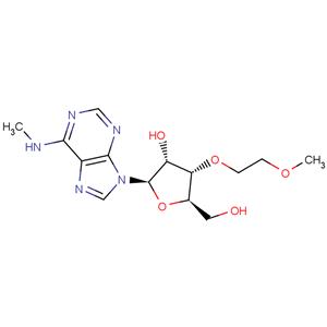 N6-Methyl-3’-O-(2-methoxyethyl) ? adenosine