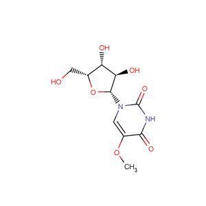 1-(b-D-Xylofuranosyl)-5-methoxyuracil