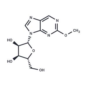 2-Methoxy-9-(beta-D-ribofuranosyl)purine