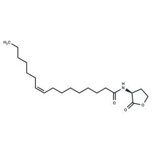 N-cis-hexadec-9Z-enoyl-L-Homoserine lactone