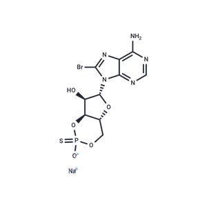 Rp-8-bromo-Cyclic AMPS (sodium salt)