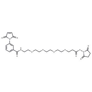 Mal-Ph-CONH-PEG4-?NHS ester