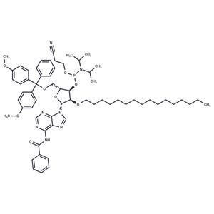 N6-Bz-5’-O-DMTr-2’-O-hexadecanyl adenosine 3’-CED phosphoramidite