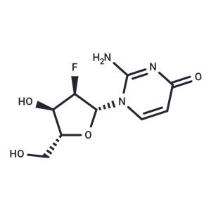 2’-Deoxy-2’-fluoroisocytidine