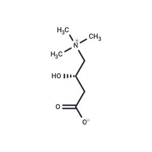 L-Carnitine