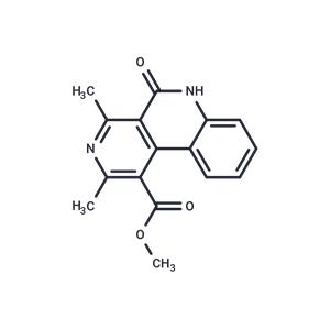 BNC-1