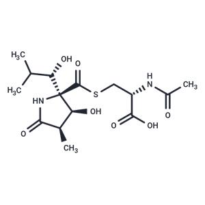 Lactacystin