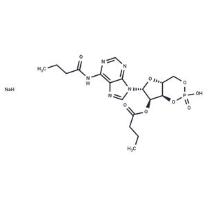 Bucladesine sodium