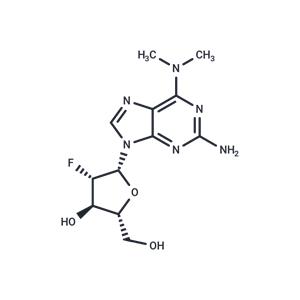 2-Amino-N6,N6-dimethyl-2’-deoxy-2’-fluoro-beta-D-arabinoadenosine