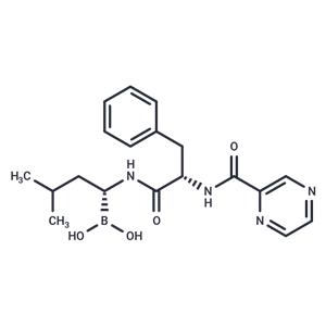 Bortezomib