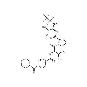 MDL-101146, (S)-