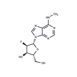 2’-Deoxy-2’-fluoro-N6-methyladensoine