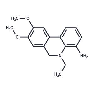 SARS-CoV-2-IN-16