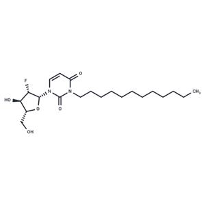 2’-Deoxy-2’-fluoro-N3-(n-dodecyl)-beta-D-arabinouridine