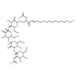 Globotetraosylceramides (porcine RBC)