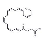 4-oxo Docosahexaenoic Acid