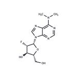 2’-Fluoro-2’-deoxy-N6,N6-dimethylarabinoadenosine