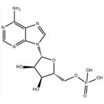 Adenosine 5'-monophosphate