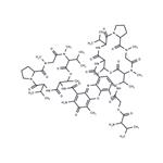 Actinomycin D1