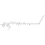 Oleoyl coenzyme A lithium